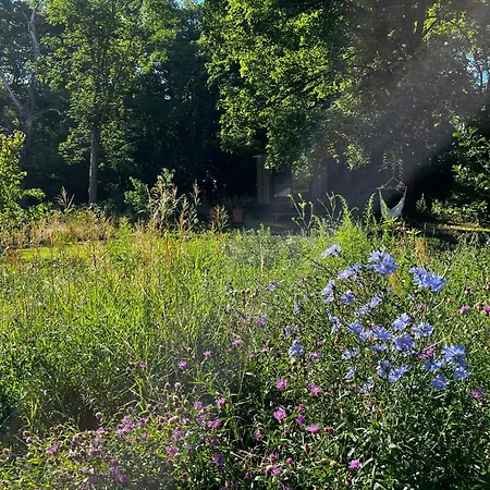 Διαμέρισμα Ferienloft Libela Im Spreewald