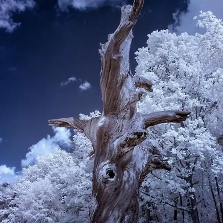 Ferienloft Libela Im Spreewald *