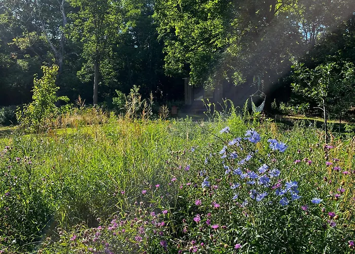 Lägenhet Ferienloft Libela Im Spreewald