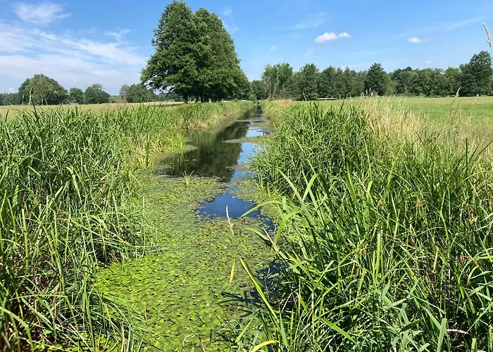 Lägenhet Ferienloft Libela Im Spreewald Straupitz