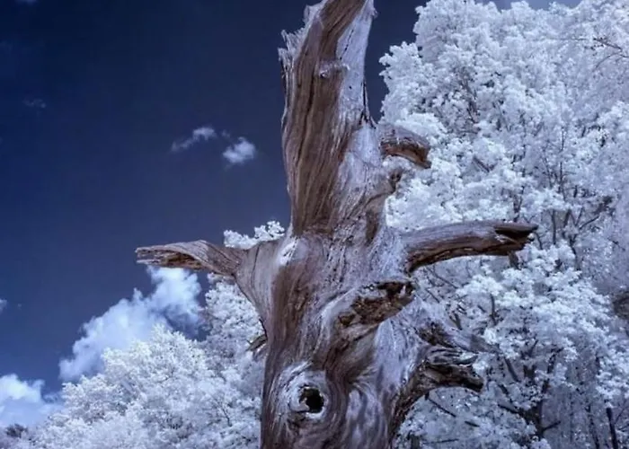 Ferienloft Libela Im Spreewald *